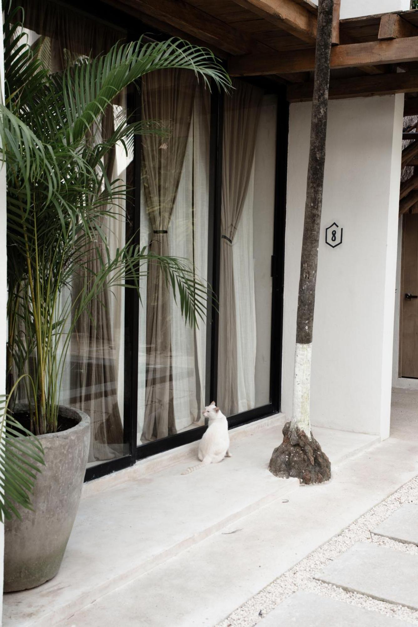 Hotel Tuup Tulum Esterno foto